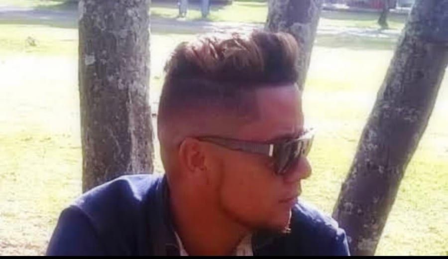 Perfil de Paulin