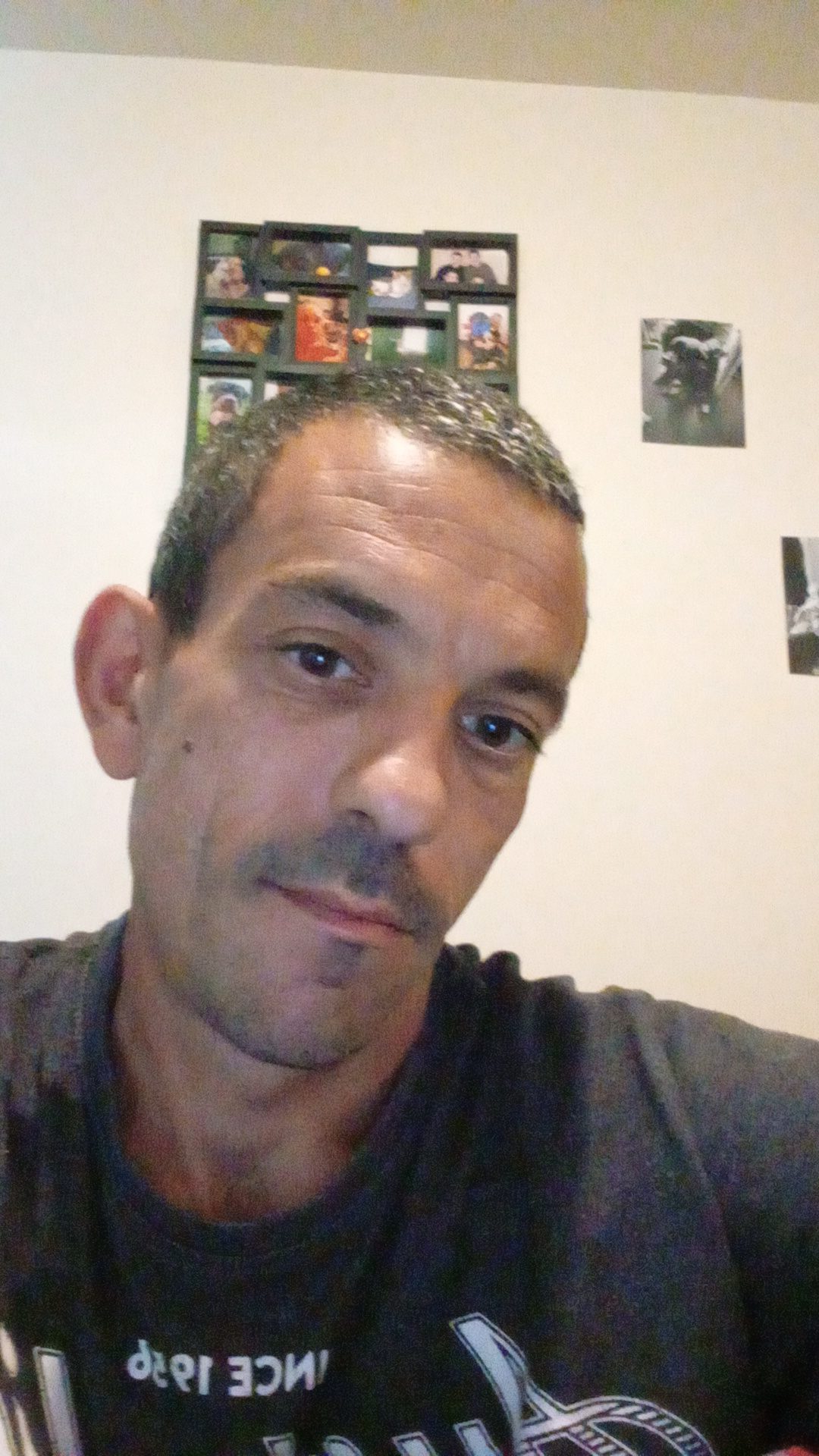 Perfil de Zaccaria